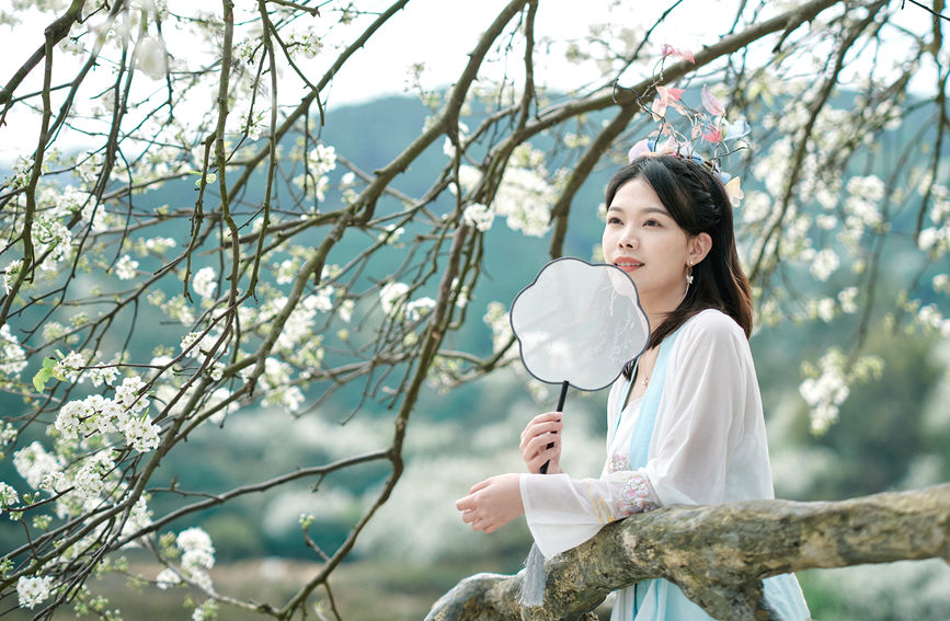 游客身著漢服在花樹下留影。黃開碧攝