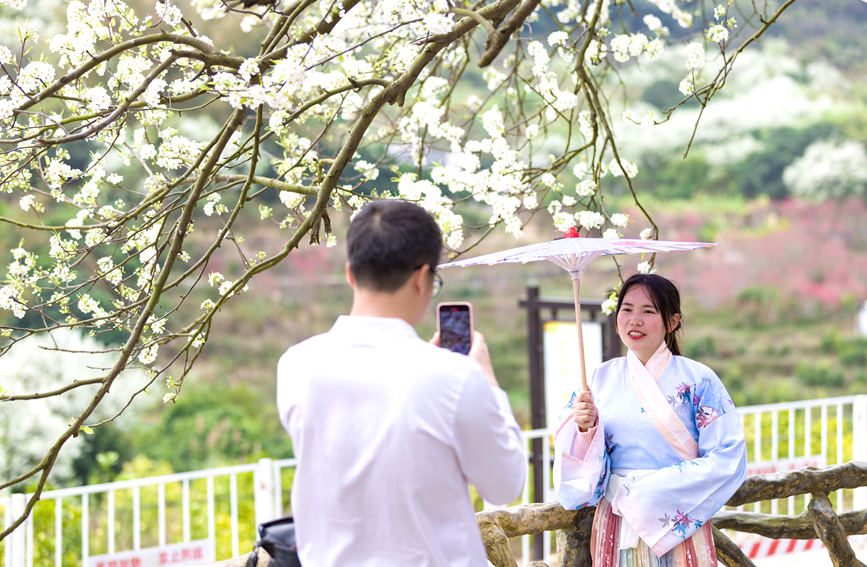 �ο������h���ڻ�����������Ӱ������z