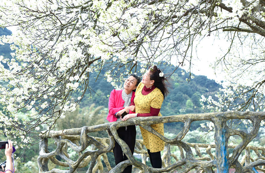 �ο��ڻ�������Ӱ��ه꿔z