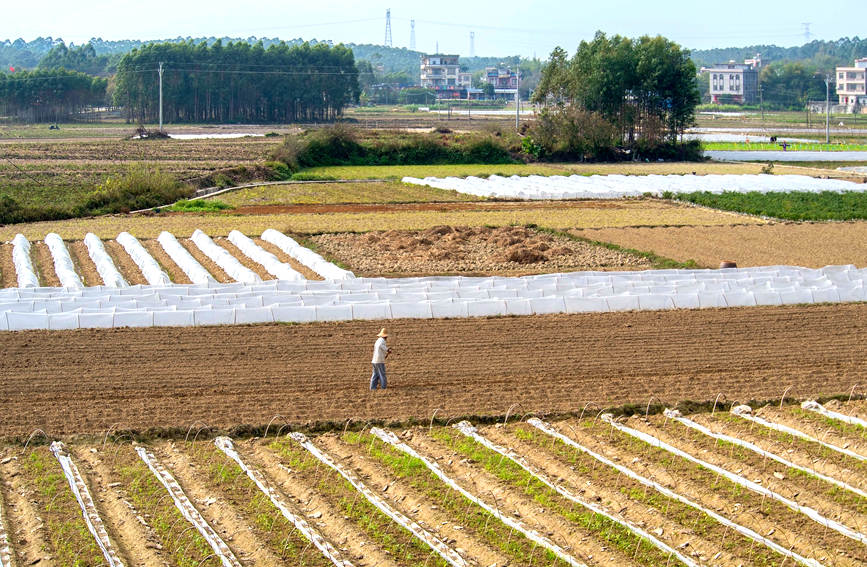 ���������ء���B�s�z