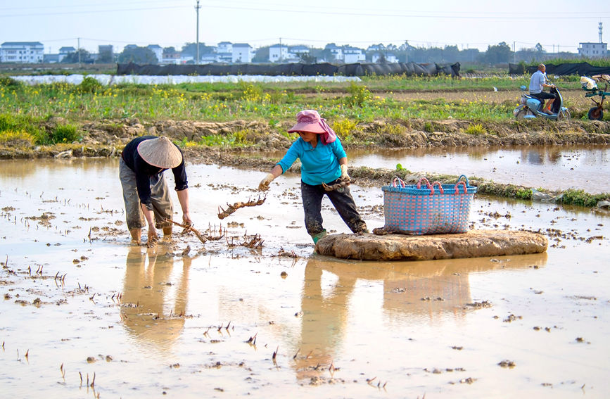 ��Nɏź����B�s�z