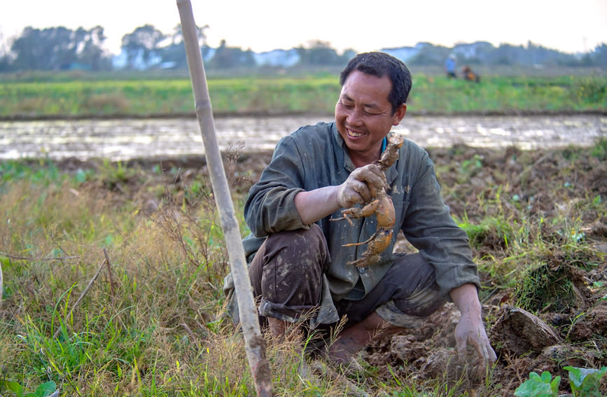 ��Nɏź����B�s�z