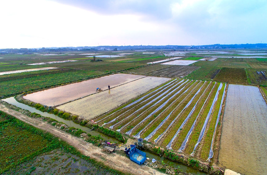 ��Nɏź����B�s�z