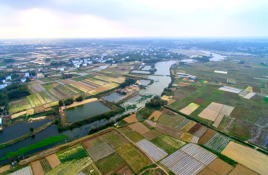 ��ɫ���g���^����B�s�z