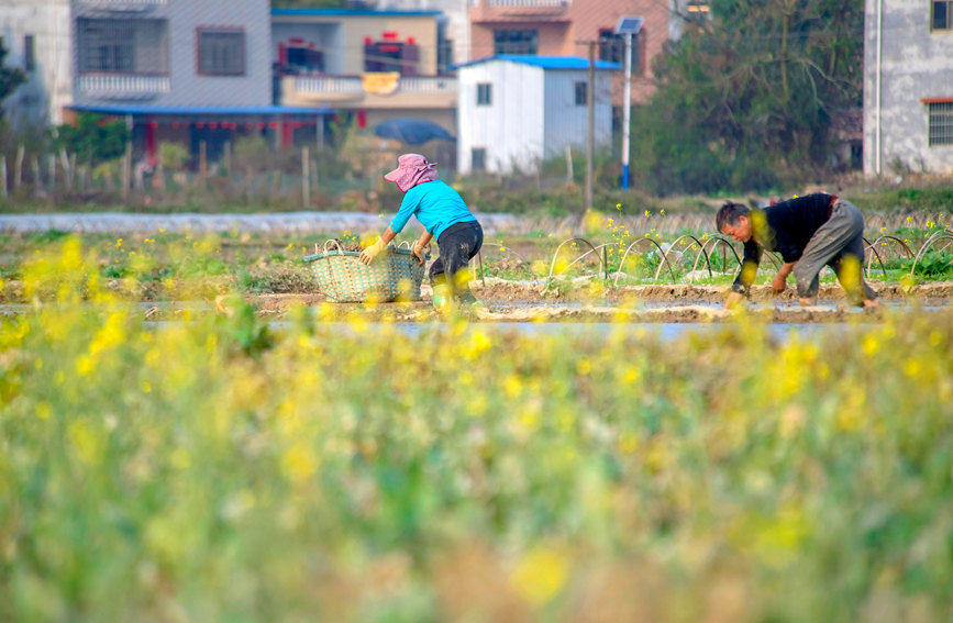 ��Nɏź����B�s�z