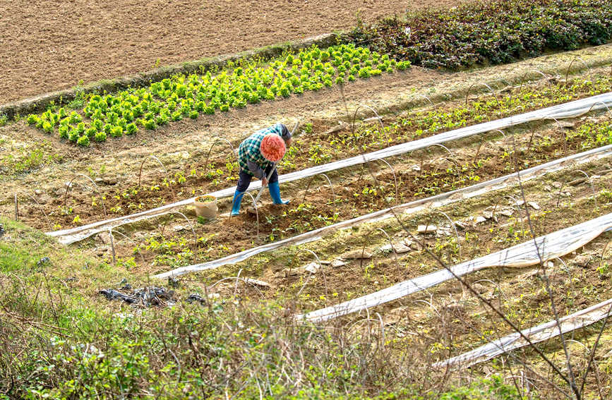 ���g�o������B�s�z