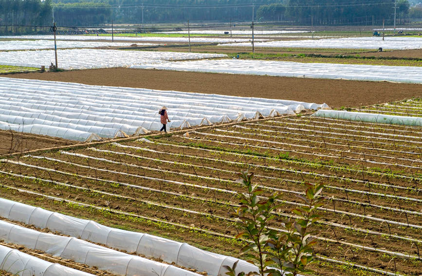 �w�ϱ�ůĤ������������B�s�z