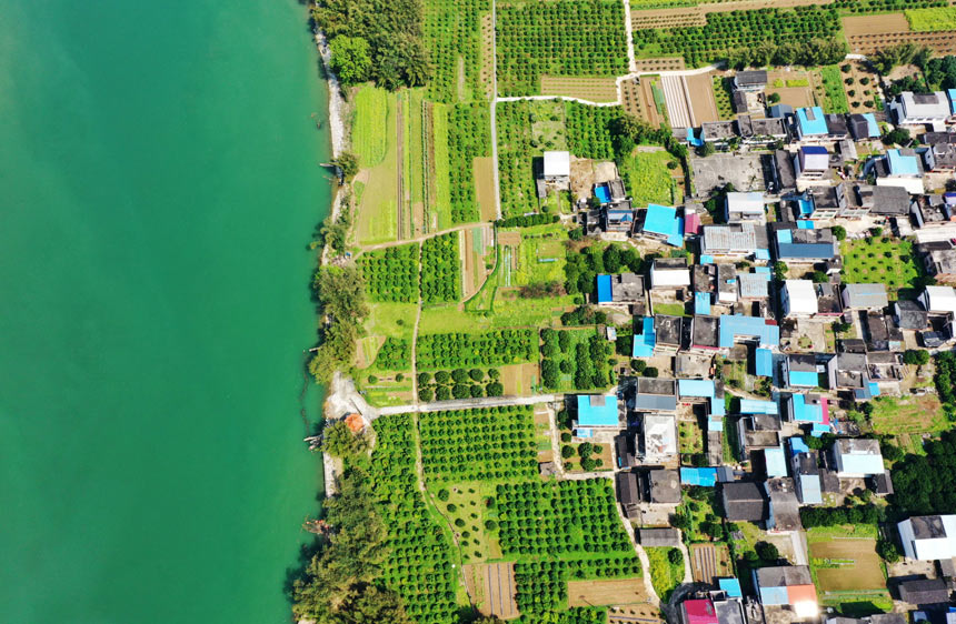 ��ˮ����Ұ�����f��ӳ��Ȥ��