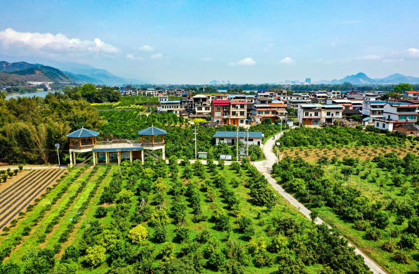 ���B(t��i)�����´塪�����\�޴���