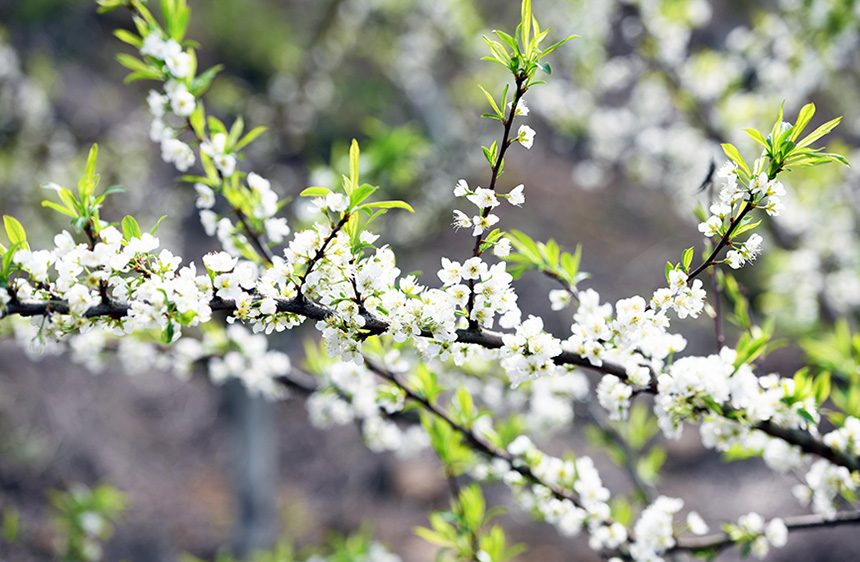 3��17�� ���ڏV�����ٸ������οhư���(zh��n)�������Ĕz�����