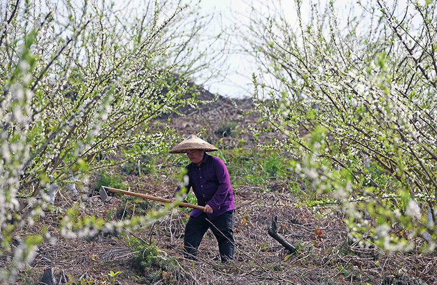 3��17�� ���ڏV�����ٸ������οhư���(zh��n)���������r(n��ng)�����ʢ�_�ĵ��������