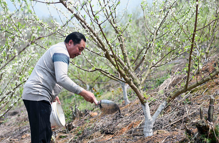 3��17�� ���ڏV�����ٸ������οhư���(zh��n)���������r(n��ng)�����ʢ�_�ĵ��������