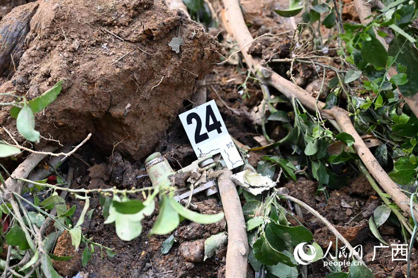 �¹ʬF(xi��n)��(ch��ng)�w�C(j��)������Ƭ��