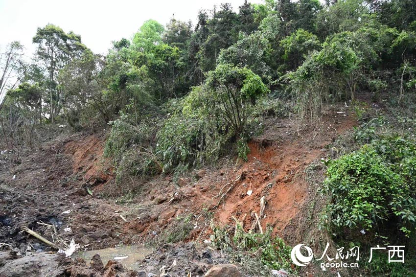 �¹ʬF(xi��n)���w�C������Ƭ��