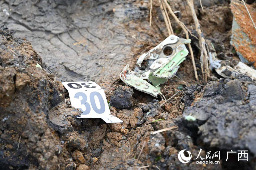 �¹ʬF(xi��n)���w�C������Ƭ��