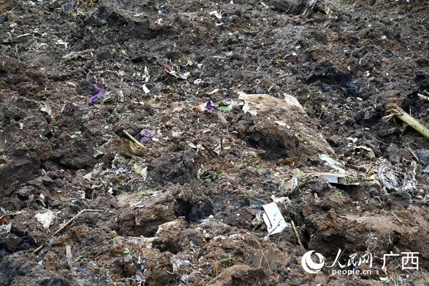 �¹ʬF(xi��n)���w�C(j��)������Ƭ��