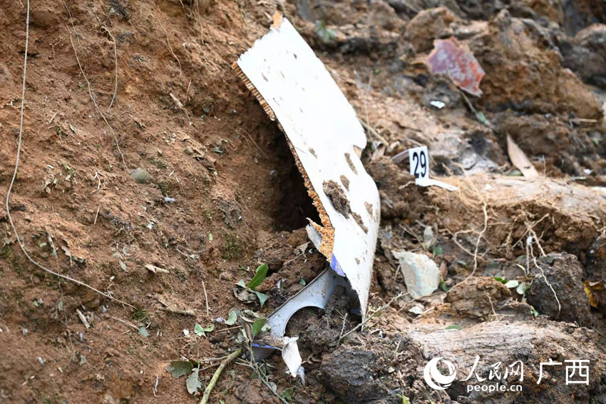 �¹ʬF(xi��n)���w�C������Ƭ��