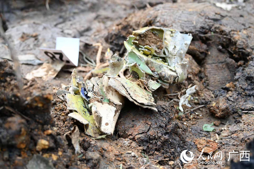 �¹ʬF(xi��n)���w�C(j��)������Ƭ��