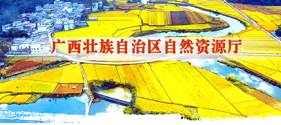 廣西國(guó)土資源廳.fw_r1_c2