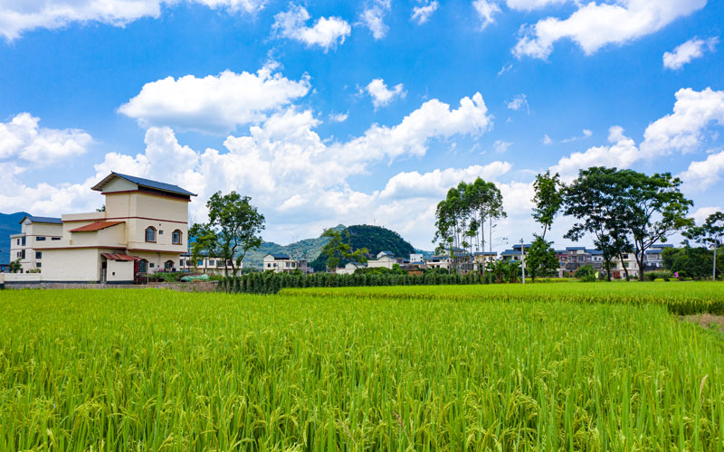 美麗迷人的鄉(xiāng)村