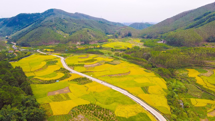 �F�۽��O(sh��)�á��ĺ��r(n��ng)��·����