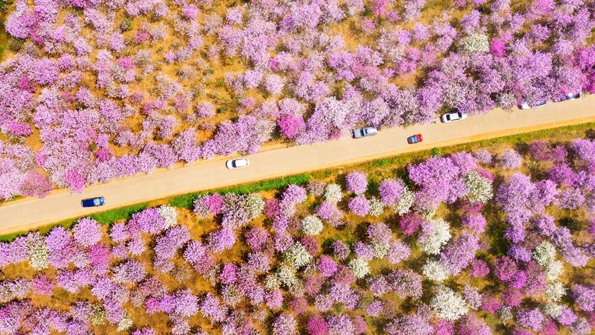 G209���������մ�����Ҙ�z