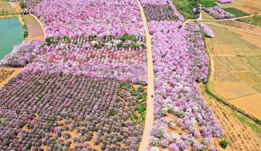 G209���������մ�����Ҙ�z