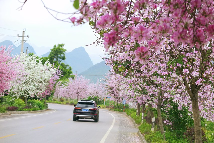 S202省道陽(yáng)朔車田村路段。王詠華攝