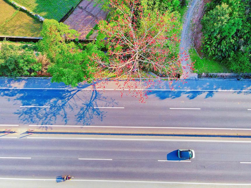 容岑一級(jí)公路。李燕瓊攝