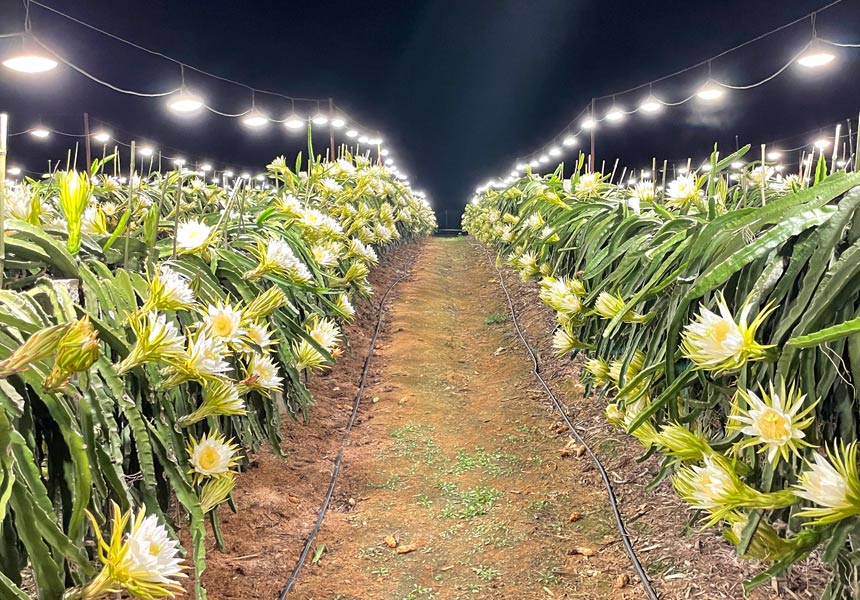 �������Nֲʾ���@���ϟ����a(b��)�oϵ�y(t��ng)��