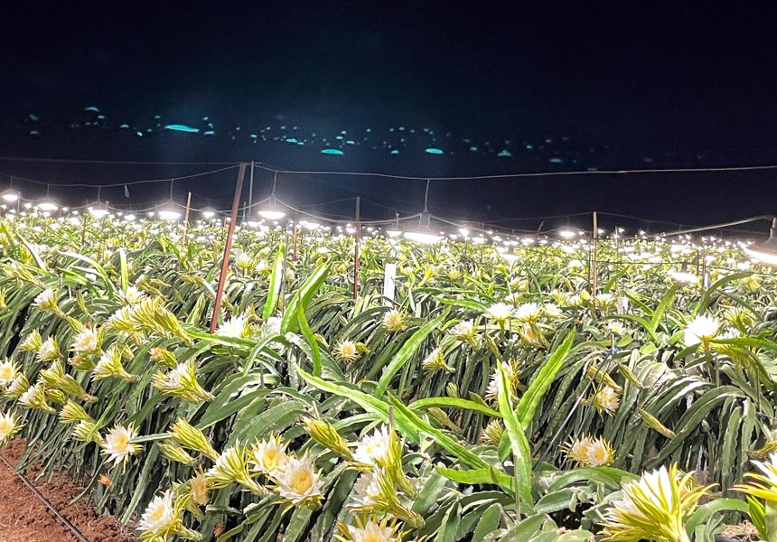 �������Nֲʾ���@���ϟ����a(b��)�oϵ�y(t��ng)��