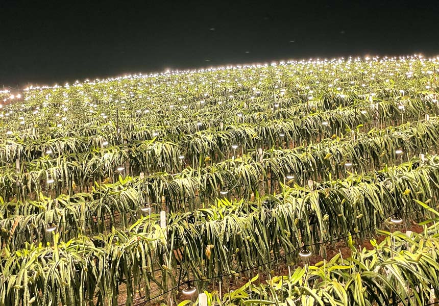 �������Nֲʾ���@���ϟ����a(b��)�oϵ�y(t��ng)��