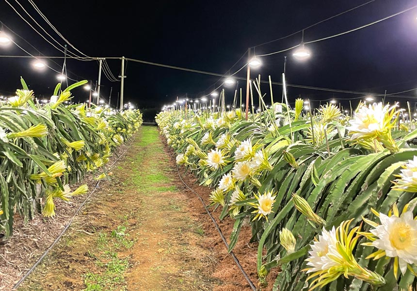 �������Nֲʾ���@���ϟ����a(b��)�oϵ�y(t��ng)��