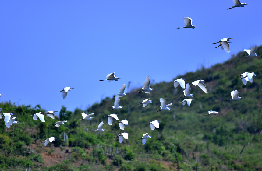 �l(xi��ng)�����B(t��i)�� �����������