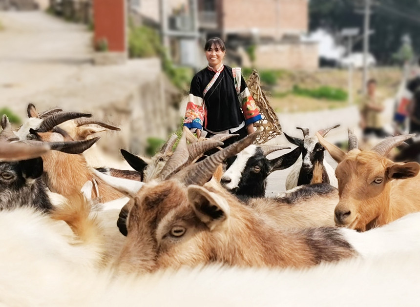 �������ͨ�^��Ȼ�����B(y��ng)ֳɽ�������μΔz