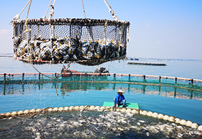 萬畝深海養(yǎng)殖基地