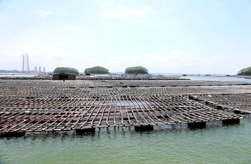 ���ŵ�ϖ�ŵ��B(y��ng)����ϖ�����_��z