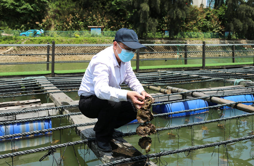 ��(d��ng)?sh��)��r(n��ng)�I(y��)���T�ļ��g(sh��)�T�ڲ鿴�B(y��ng)ֳ�Ĵ�ϖ�����_��z