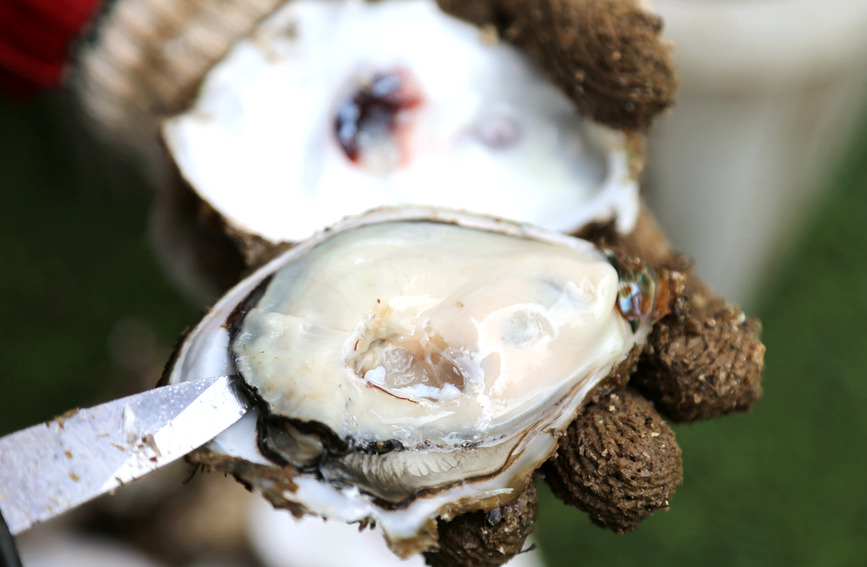 �B(y��ng)ֳ�����_�ĺ�����ρ��Ĵ�ϖ�����_��z