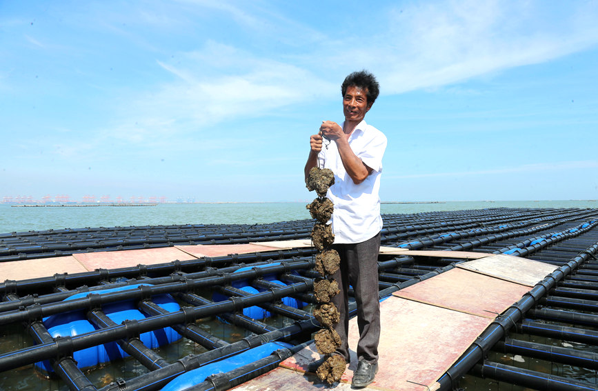 ���Ϳ��L(f��ng)��ϖ���B(y��ng)ֳ�������B(y��ng)ֳ��(h��)��չʾ�B(y��ng)ֳ�Ĵ�ϖ�����_(k��i)��z