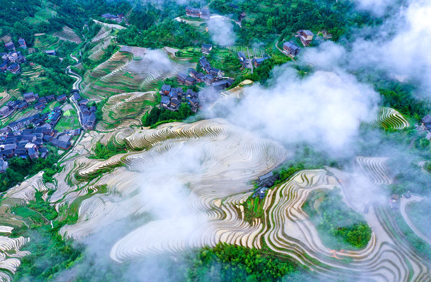 �������ﾰ�^�� 