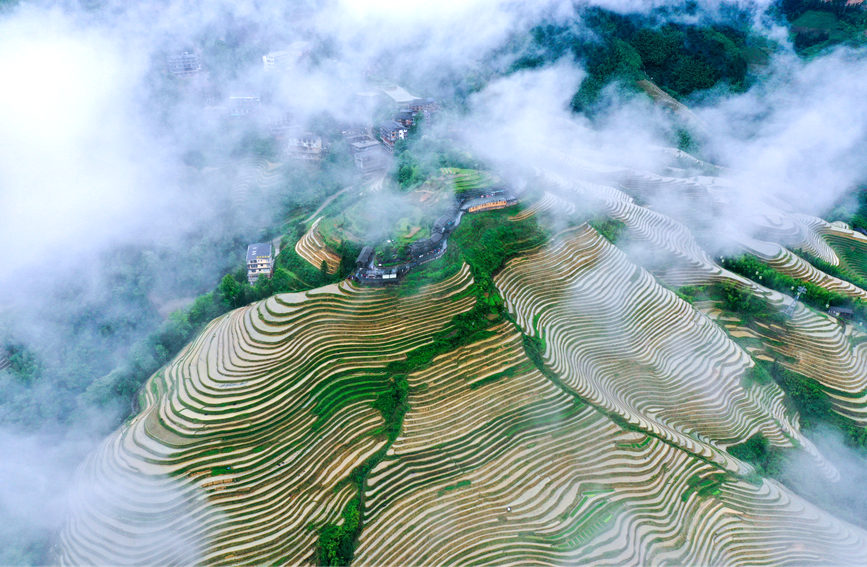 �������ﾰ�^�� 