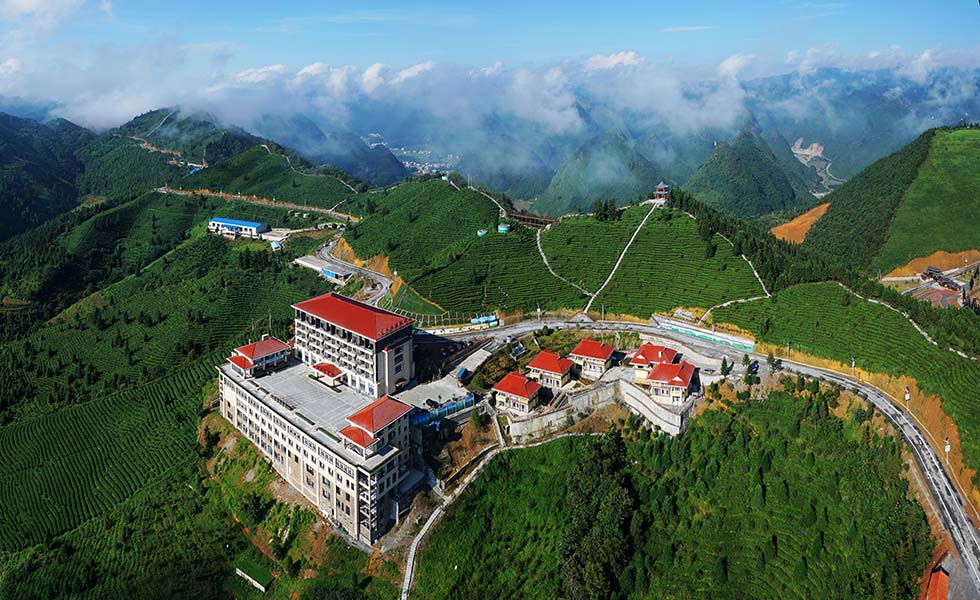 樂業(yè)縣十大休閑養(yǎng)生度假小區(qū)之一的故事小鎮(zhèn)　