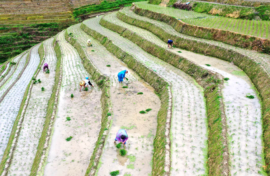 �����������ϲ�������־��z