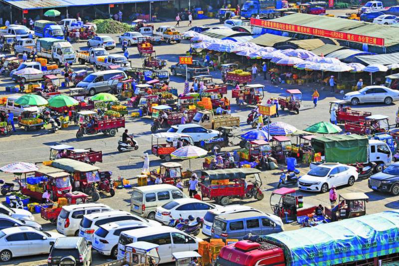 圖為田陽區(qū)農(nóng)副產(chǎn)品交易市場一片繁忙。楊必盛攝