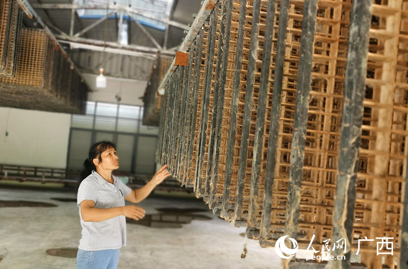 黃秀葵打理養(yǎng)蠶設(shè)備，為新一輪的養(yǎng)蠶工作做準(zhǔn)備。 人民網(wǎng) 付華周攝