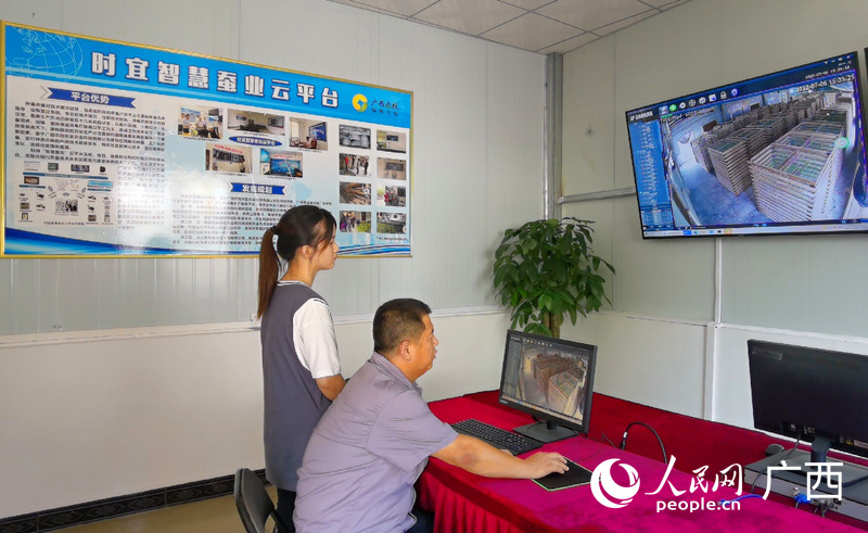 朱寶劍通過時(shí)宜智慧蠶業(yè)云平臺(tái)了解蠶農(nóng)蠶房實(shí)時(shí)情況。 人民網(wǎng) 付華周攝