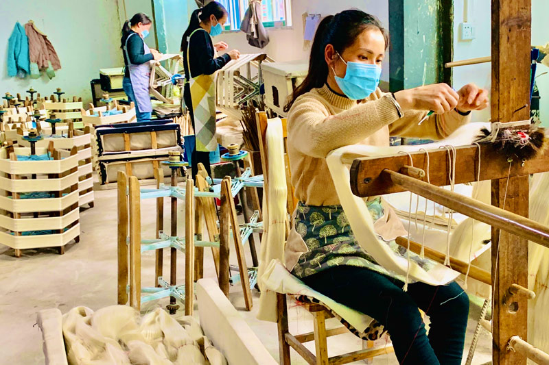 凌云縣繅絲廠工人在加工蠶絲。陸文軍攝