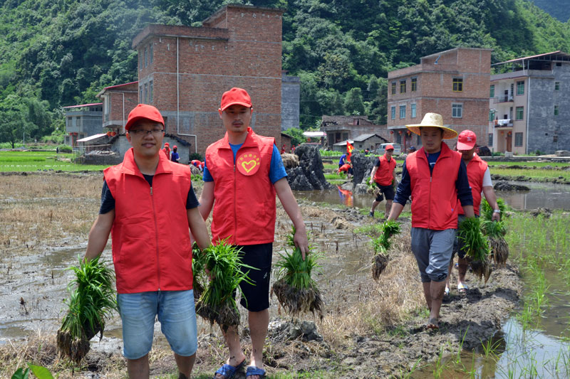 北投公路集團(tuán)鄉(xiāng)村振興+愛心幫扶，義務(wù)插秧助力農(nóng)耕生產(chǎn)。
