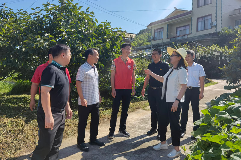 平樂縣委書記周政英在平樂鎮(zhèn)脫貧村指導鄉(xiāng)村振興工作。何萬明攝